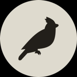 Black Jays Investments logo