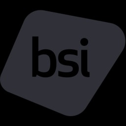British Standards Institute BSI-KSA logo