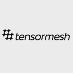 Tensormesh logo